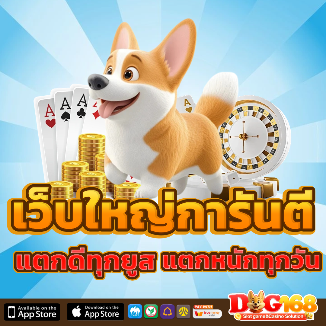 dog 168 แตกง่าย